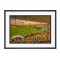 York Street Stadium Fine Art Print - Boston United FC